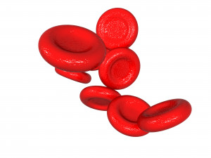 Blood cells Modèle 3D