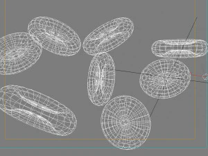 Blood cells 3D Model
