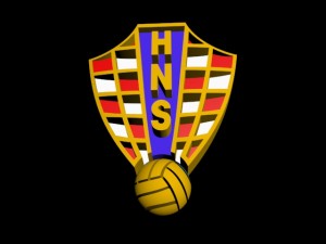 croatia football national team 3d logo 3D Print Model