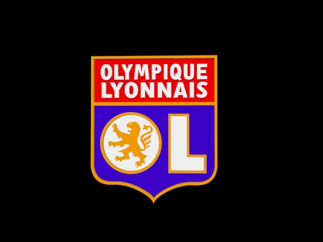 olympic lyon lyonnaise 3D Print Model .c4d .max .obj .3ds .fbx .stl .blend 