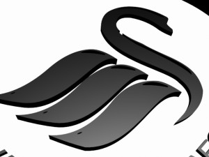 swansea city afc 3Dプリントモデル