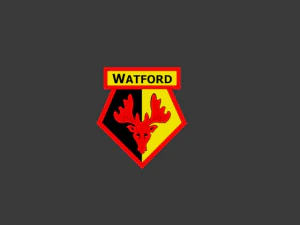 Cidade de Watford FC Modelo de Impressão 3D