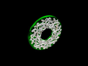 islamic phrase 6 3d 3D Model