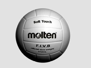 molten volley ball 3D Model