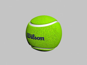 tennis ball wilson 3D Модель