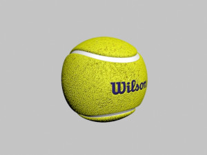 tennis ball wilson Model 3D
