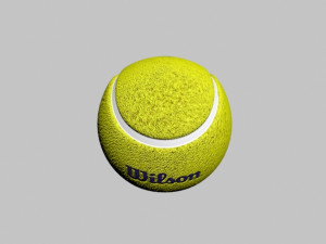 tennis ball wilson Model 3D