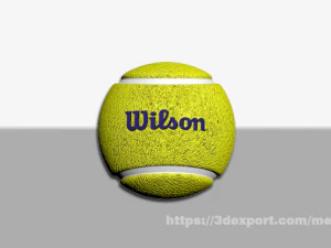 bola tenis wilson Model 3D