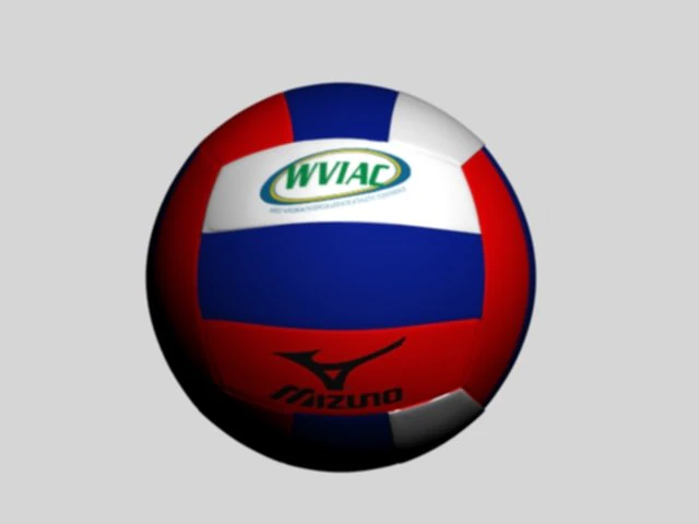 volley ball 3D Model .c4d .max .obj .3ds .fbx .stl .blend 