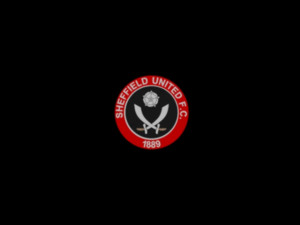 sheffield utd Modelo 3D