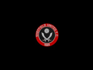 sheffield utd 3D Model
