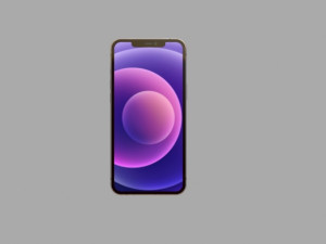 iphone 12 pro max 3D Model