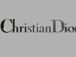 christian dior 3D मॉडल