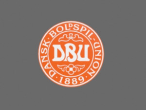 denmark football federation 3D 모델