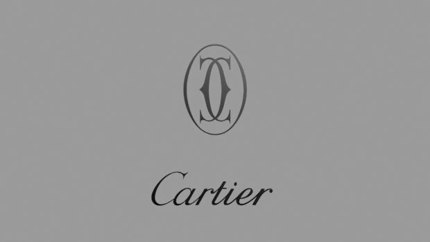 cart13r logo 3D Model .c4d .max .obj .3ds .fbx .stl .blend 