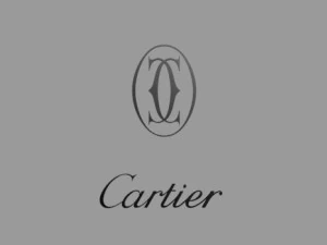 cart13r logo 3D Model