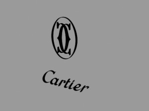 cart13r logo Model 3D