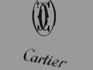 cart13r logo Model 3D