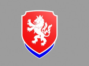 czech national football 3D Model