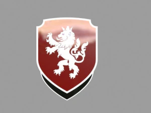 czech national football 3D Model