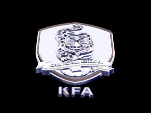 korea football association 3D-Modell