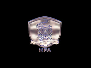 korea football association 3D-Modell