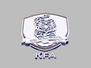 korea football association 3D-Modell