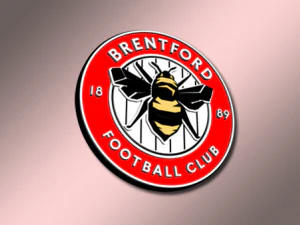 Brentford FC Model 3D