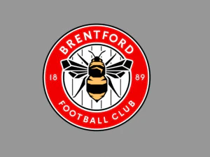 brentford fc 3D Model
