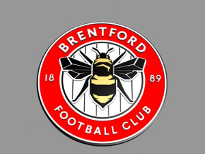 brentford fc Model 3D
