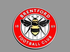 brentford fc 3D Model