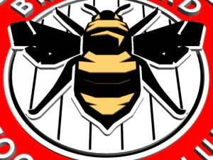 brentford fc 3D Model