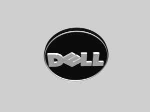 dell 3D Model