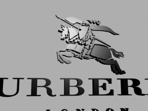 burberry 3D Model