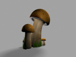 volvariella mushroom 3D Modell
