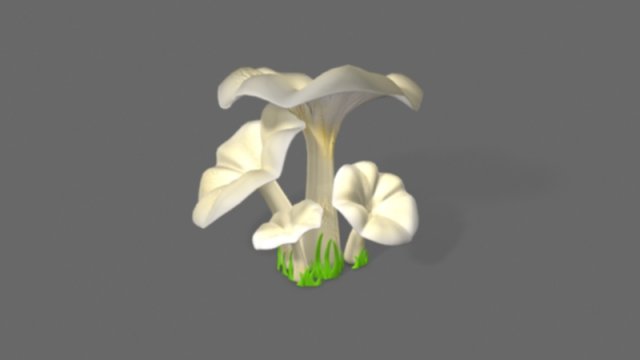 pleurotus mushroom 3D 模型 .c4d .max .obj .3ds .fbx .stl .blend 