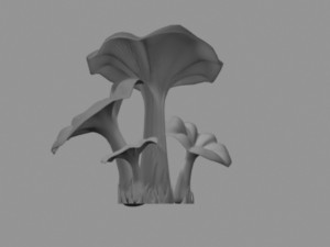 pleurotus mushroom 3D 模型