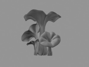 pleurotus mushroom 3D 模型