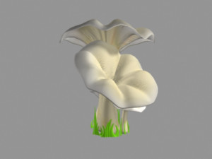 pleurotus mushroom 3D 模型