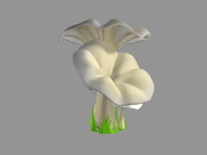 pleurotus mushroom 3D Model