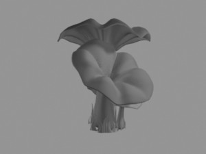 pleurotus mushroom 3D 模型