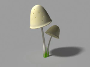 jamur clavaria Model 3D
