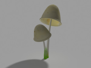 clavaria mushroom 3D-Modell