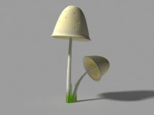 clavaria mushroom 3D Model
