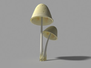 mushroom bundle Modèle 3D