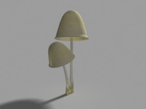 mushroom bundle Modèle 3D