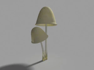 mushroom bundle 3D Model