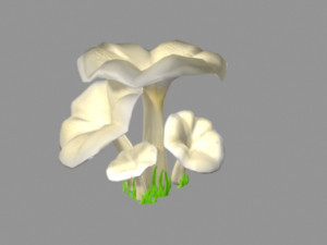 mushroom bundle Modèle 3D