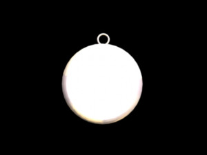capricorn pendant Modelo 3D