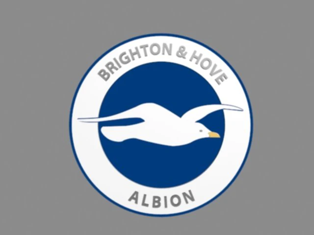 Brighton Hove Albion FC Modelo 3D .c4d .max .obj .3ds .fbx .stl .blend 